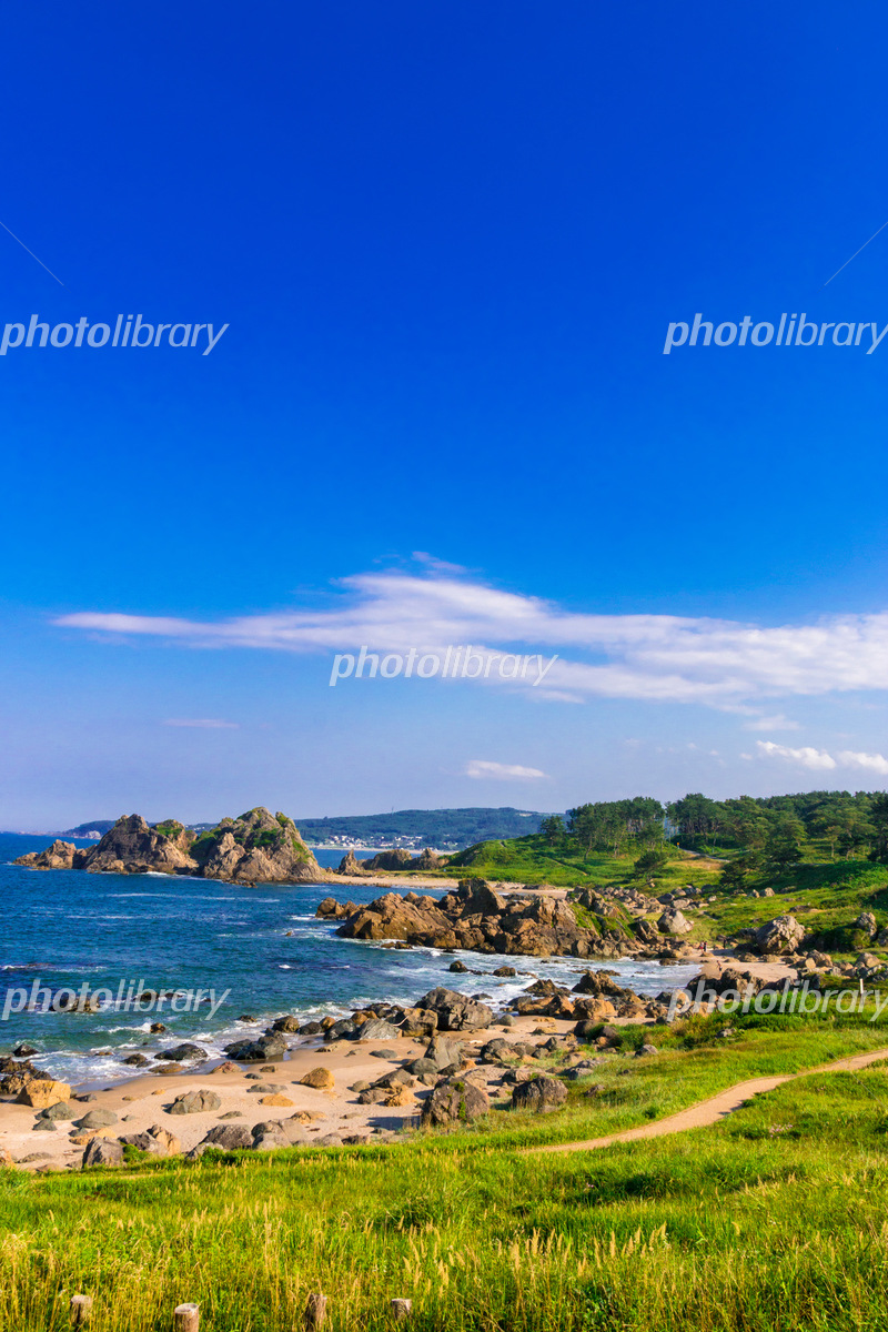 種差海岸 中須賀 青森県八戸市写真素材5698960- フォトライブラリ