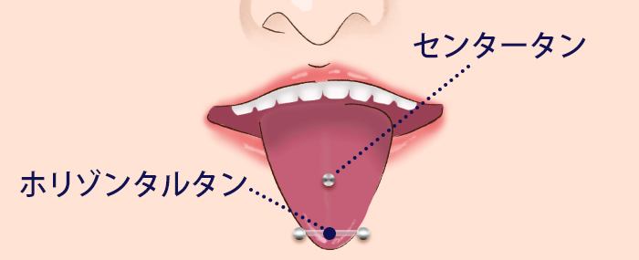 センタータンの開け方・位置や痛みなど舌ピアスの基礎知識 | ボディピアス凛｜軟骨ピアスまとめ