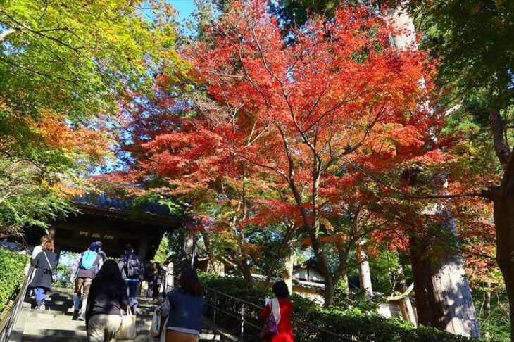 鎌倉「円覚寺」- 臨済宗大本山、歴史と見どころ 墓所案内霊園・墓地のことなら「いいお墓」