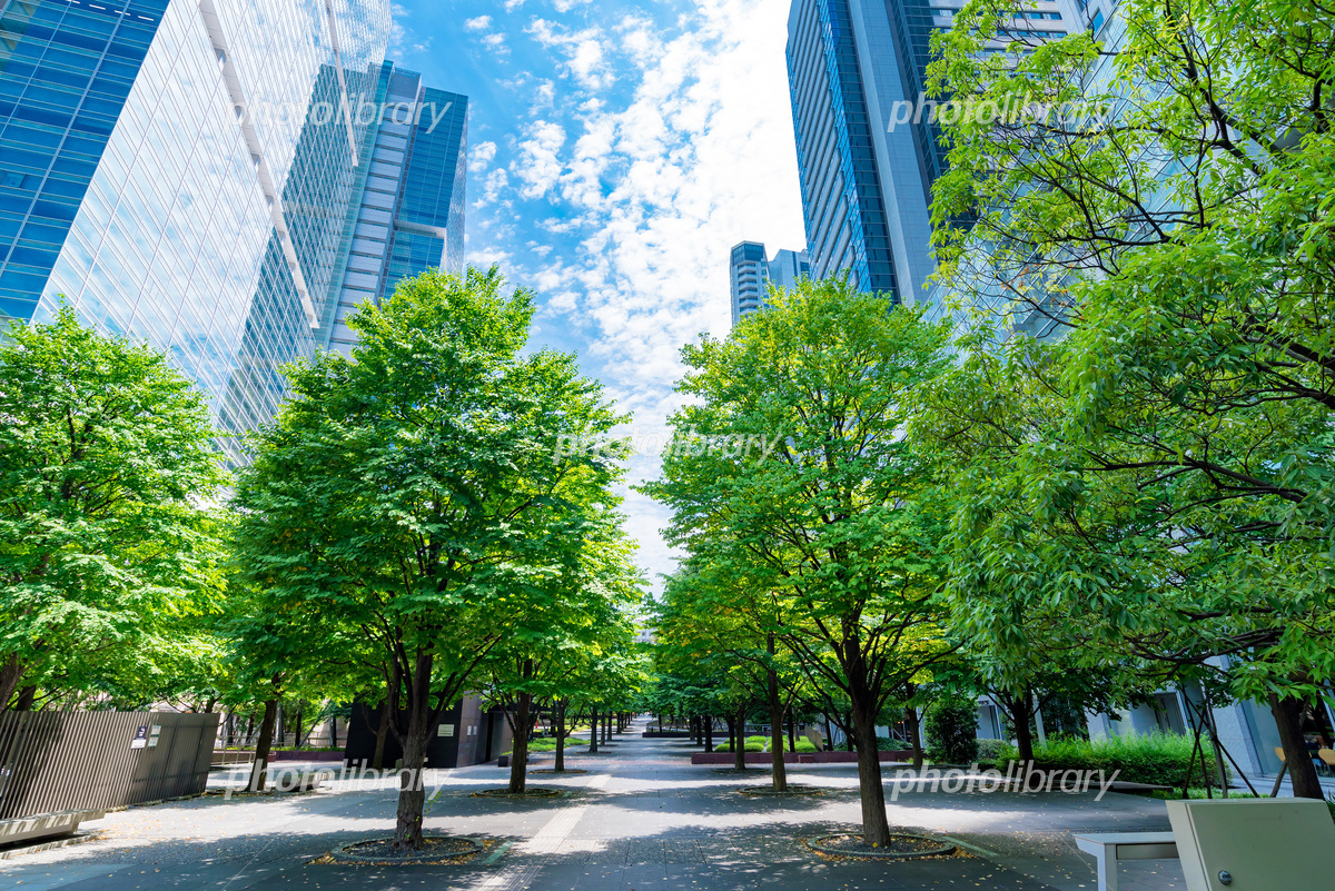 オフィス街」に関連する写真素材・AI画像素材 - フリー素材 ぱくたそ