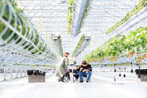 2025年 佐久市で絶対外さないおすすめ観光スポットトップ10 - トリップアドバイザ