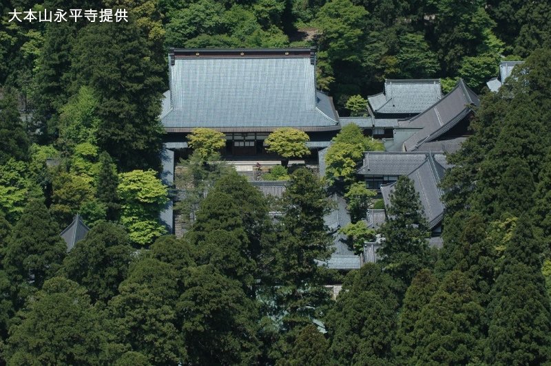 名刹・永平寺を地元情報サイトが完全ガイド！ 見どころや穴場、アクセス情報や駐車場、おすすめの近隣グルメ情報を解説。福井の旬な街ネタ&情報ポータル読みもの ふーぽ