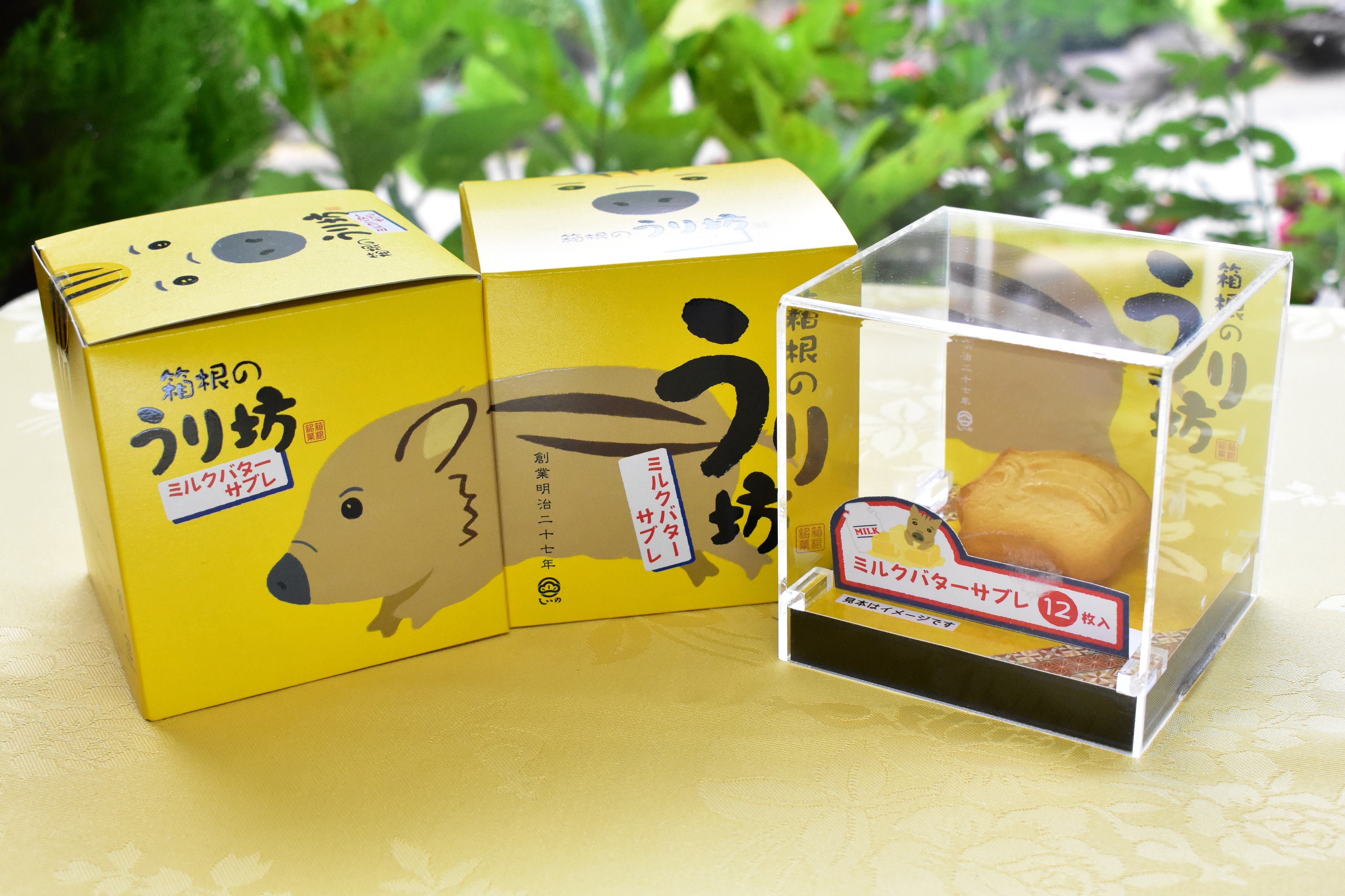 ←他の投稿はこちらから♪ うり坊の形や表情が可愛らしい箱根のお饅頭をご紹介します☺️ ✨レポ✨ 箱根のお土産屋さんでよく見掛ける、おすすめのお饅頭になります。うり坊の可愛さと美味しさにハマる「箱根のうり坊」というお饅頭です。 箱根のお土産屋さんでも購入