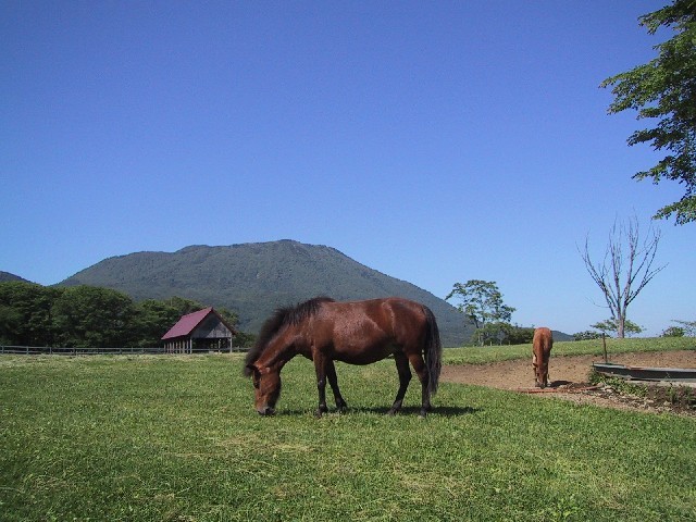 戸隠牧場 クチコミ・アクセス・営業時間戸隠・鬼無里 フォートラベル