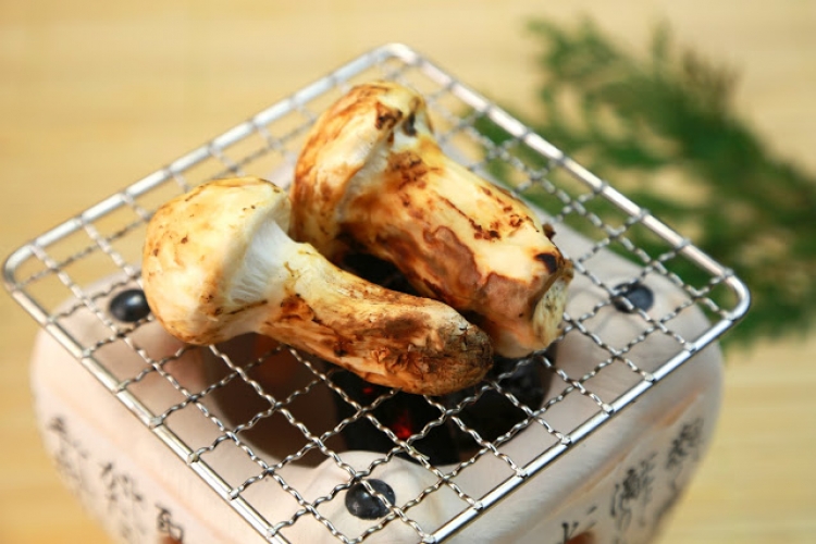 全国の松茸狩り体験ができるスポット！料理付きプランやお得なバスツアーでも農業・ガーデニング・園芸・家庭菜園マガジン AGRI PICK