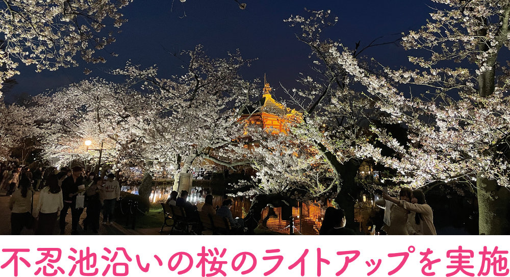 上野公園でのお花見の様子霊園とお墓のはなし