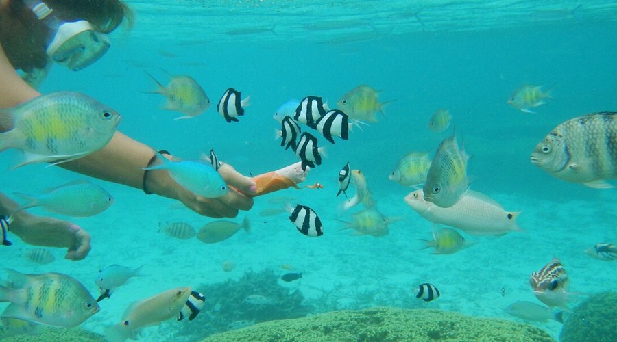 グアムでシュノーケルするならイパオビーチがおすすめ☆ - おいとまにっき