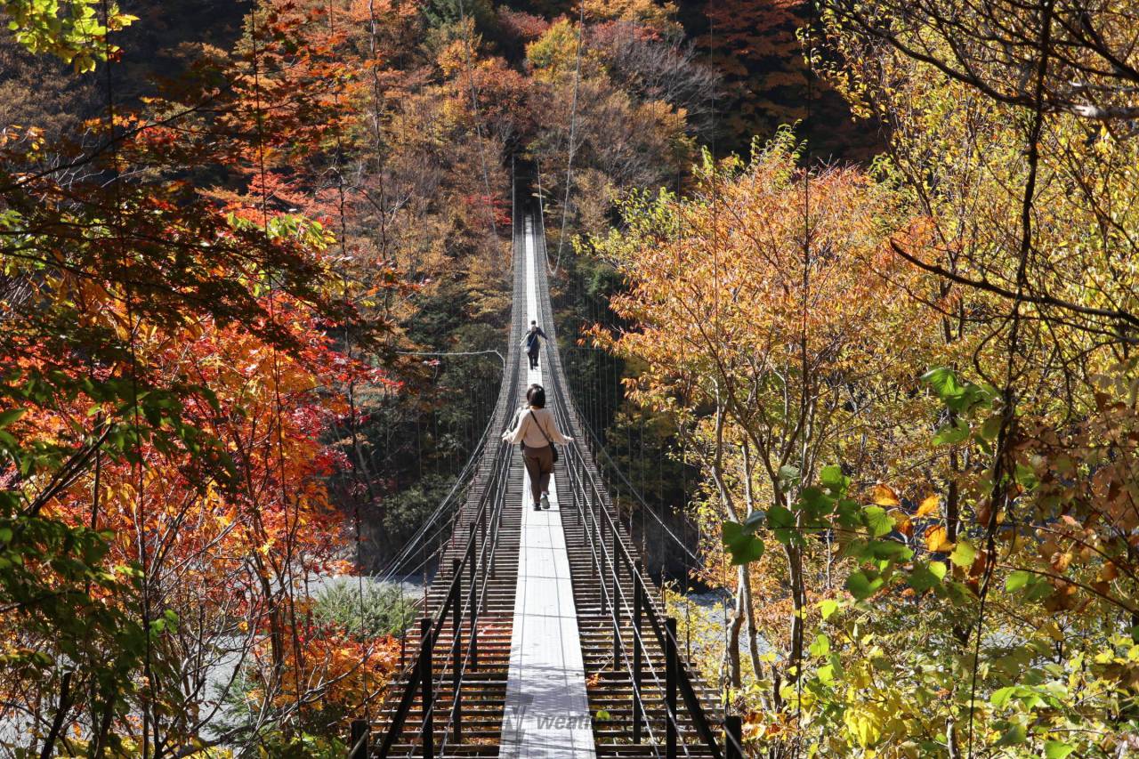 畑薙大吊橋 はたなぎおおつりばし