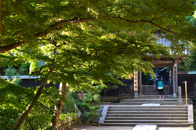 円覚寺で紅葉散策！美しい見頃・見どころガイド鎌倉観光ならバズトリ -BUZZ TRIP Kamakura-観光・グルメ・自然
