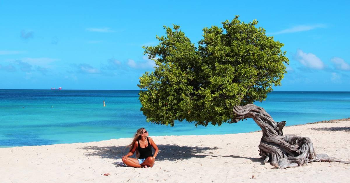 カリブ海、どこにどうやって行く？ 1