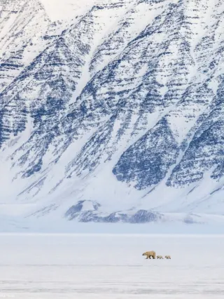 2025年最新 スヴァールバル諸島旅行の費用はいくら？6泊8日・4泊6日の予算や物価、安い時期を解説NEWT ニュート