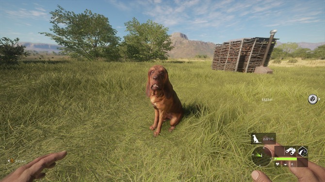 Amazon.com: The Hunter Call Of The Wild Game Of The Year EditionPC:Video Games