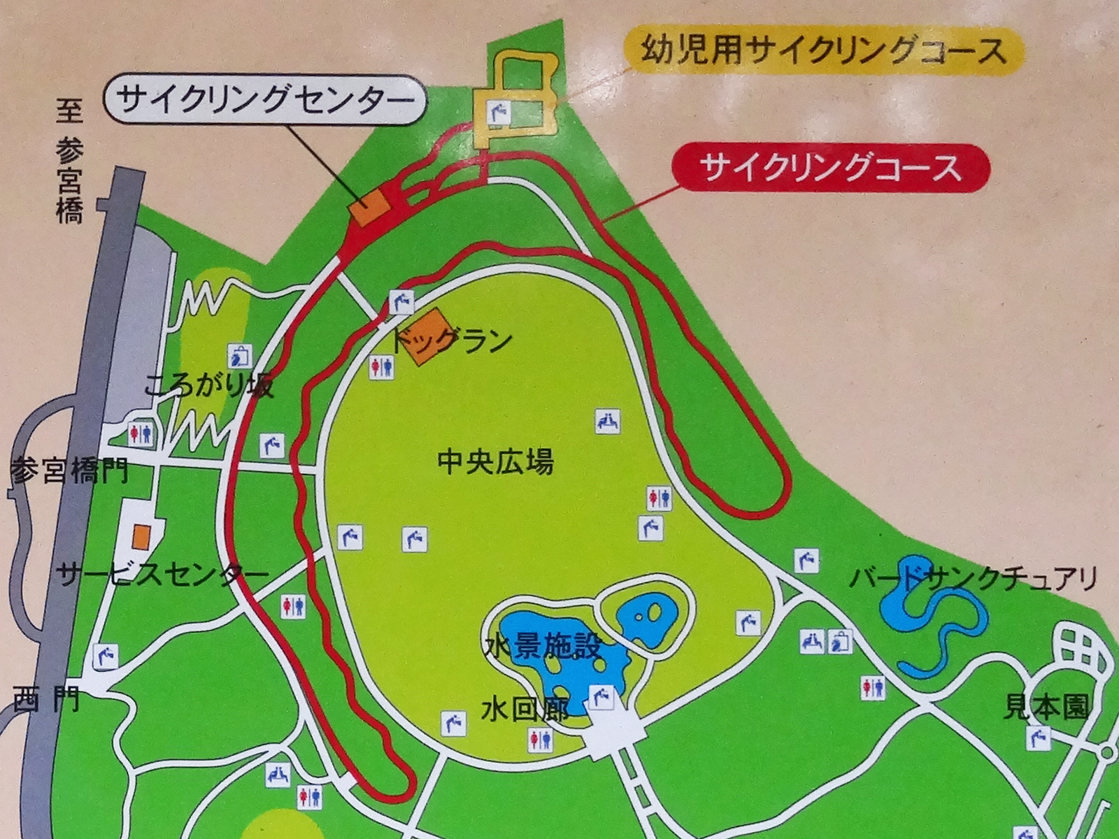 代々木公園のサイクリングコース - Tokyo Backstreets Bike Tour