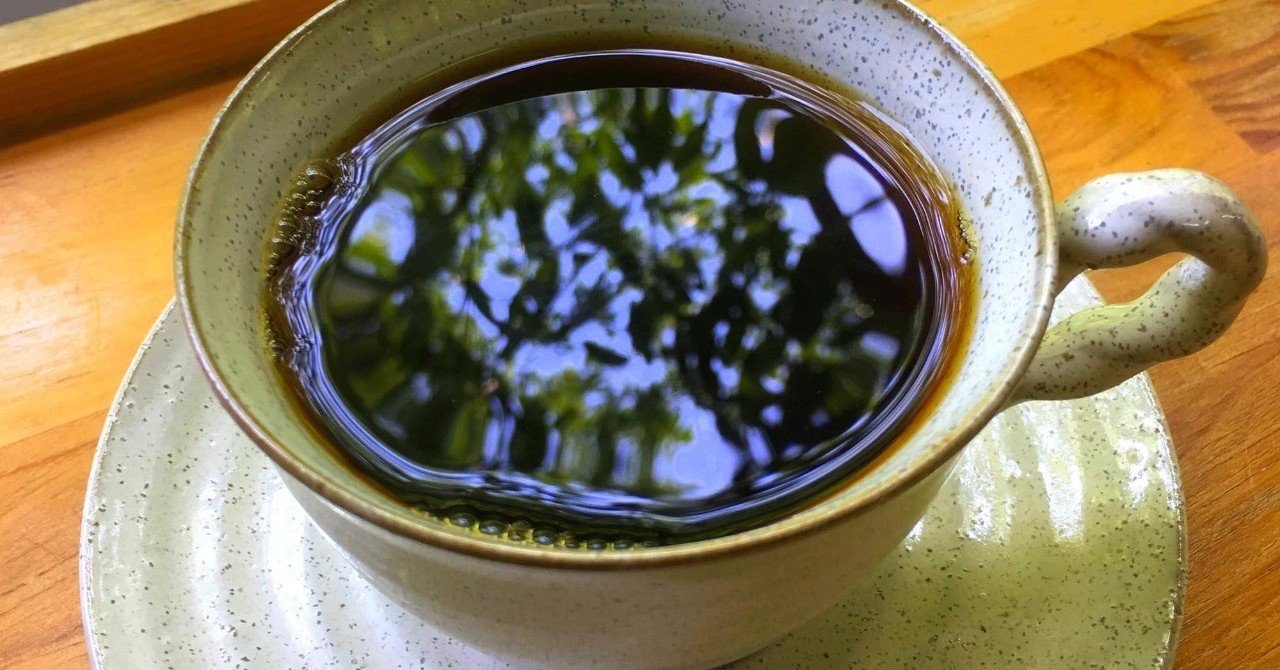 ギャラリーぽっぽ東京 奥多摩にあるカヤックスクール - フェリーグライド