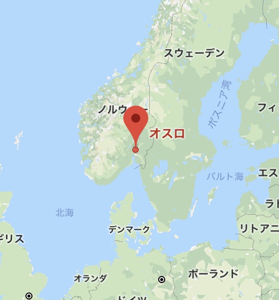 H.I.S.絶景行っとく？ ノルウェー・ナットシェル 周遊券 オスロ発 オスロ ノルウェーのオプショナルツアー海外現地ツアー格安予約