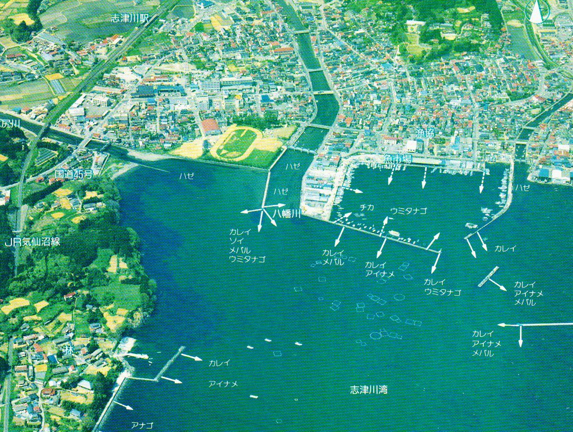 志津川漁港の釣り場ポイント情報と釣果！ 釣り広場.com