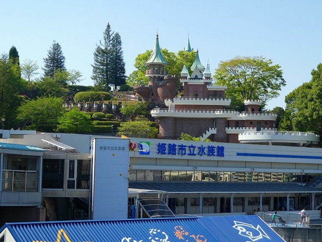 姫路市立水族館 公式お知らせ8月12日 火 は通常どおり営業しますので、ぜひお越しください。翌日の8月13日 水 も通常どおり営業いたします。Instagram