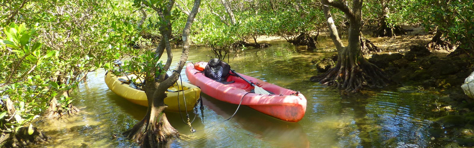 サンセット沖縄カヤック「ブルーフィールド」 - 沖縄カヤックBLOG - 沖縄 カヤックマングローブカヤックは「ブルーフィールド」