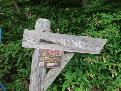 つつじ吊橋 栃木県 の観光情報ゆこゆこ温泉ガイド