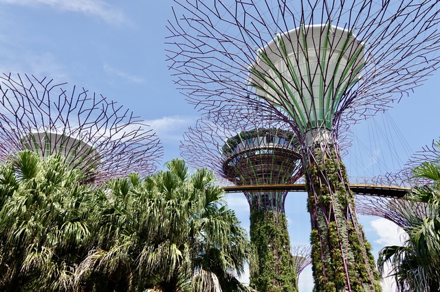 シンガポールの魅力を満喫できる観光スポット20選！クチコミで人気トラベルマガジン