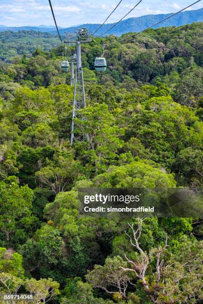 スカイレールとキュランダ観光列車Skyrail