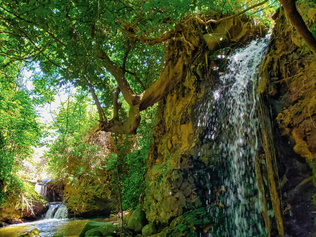 2025年 奈良の穴場スポット18選！地元民おすすめの観光名所もエリア別に解説NEWT ニュート