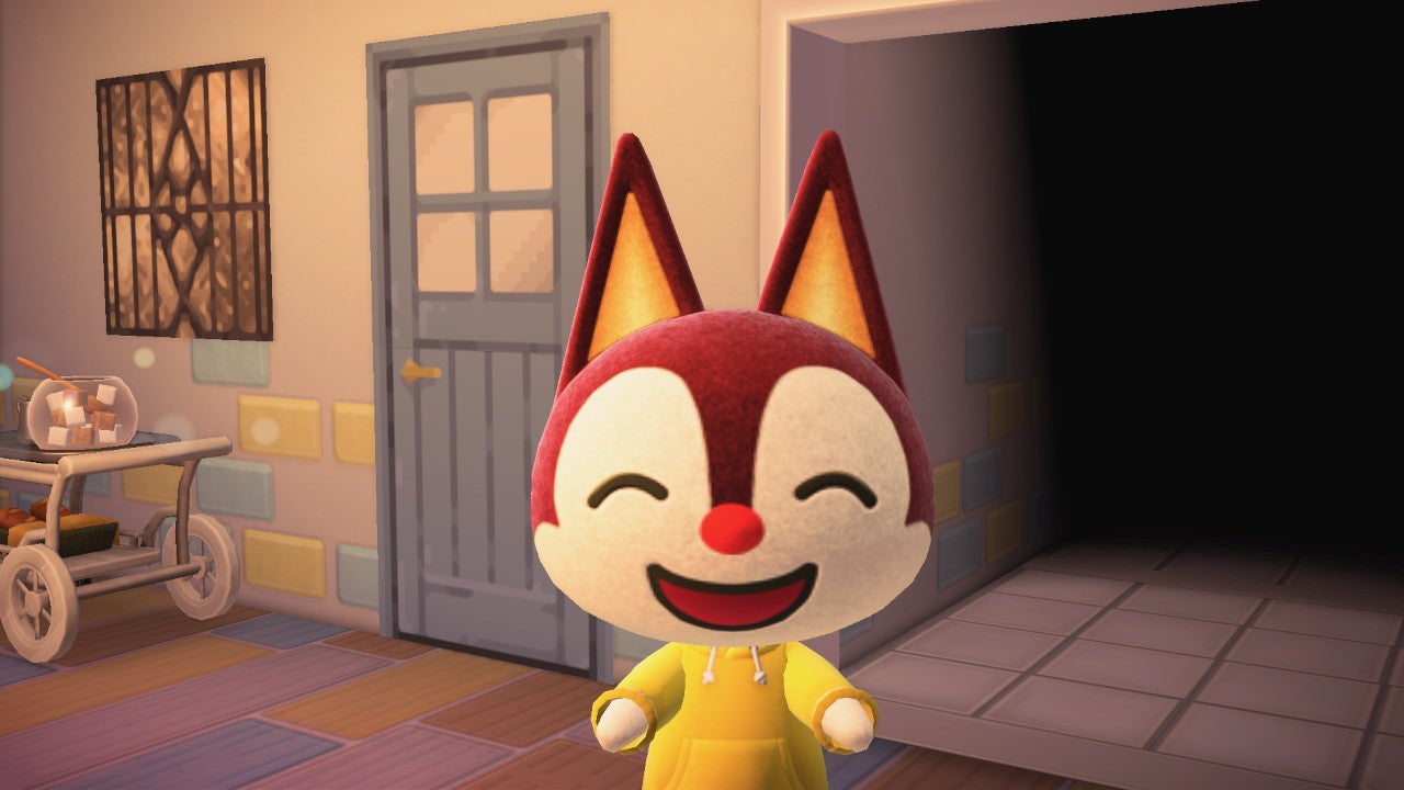 チャスくんの1日🐱🍃⁡⁡ ⁡⁡⁡ ⁡⁡ ⁡⁡ ⁡ あつまれどうぶつの森あつ森どうぶつの森animalcrossingnewhorizonsAnimalCrossingACNH