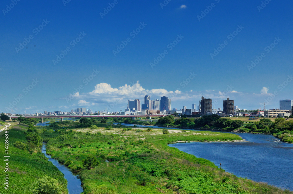 二子玉川の桜のお花見スポットお散歩二子玉川の地域ポータルサイト 二子玉くん
