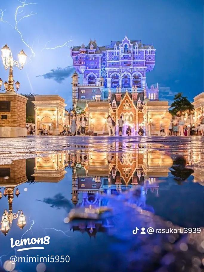 特大上下2枚仕様 ディズニーシーの夜景 パノラマL版×上下2枚