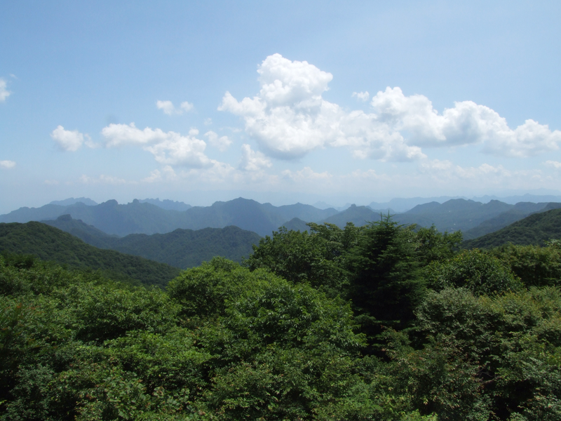 旧碓氷峠見晴台 軽井沢 の紅葉紅葉情報2025