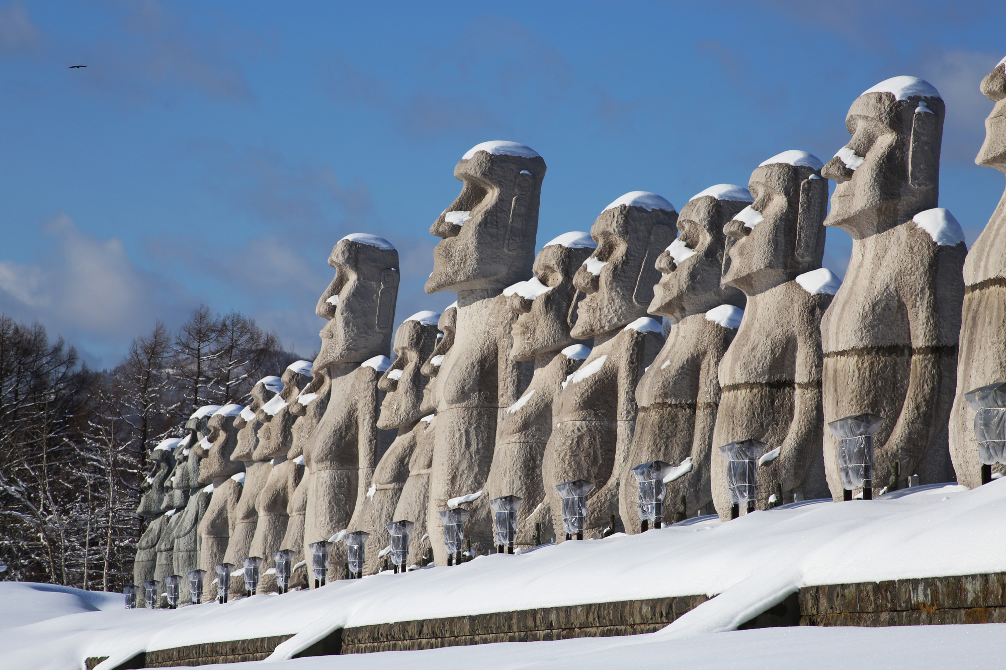 2024年3月 札幌に行ってきました。雪に埋もれるモアイ像と美味しいものいっぱいの食べログです。』札幌 北海道 の旅行記・ブログ byたっこさん フォートラベル