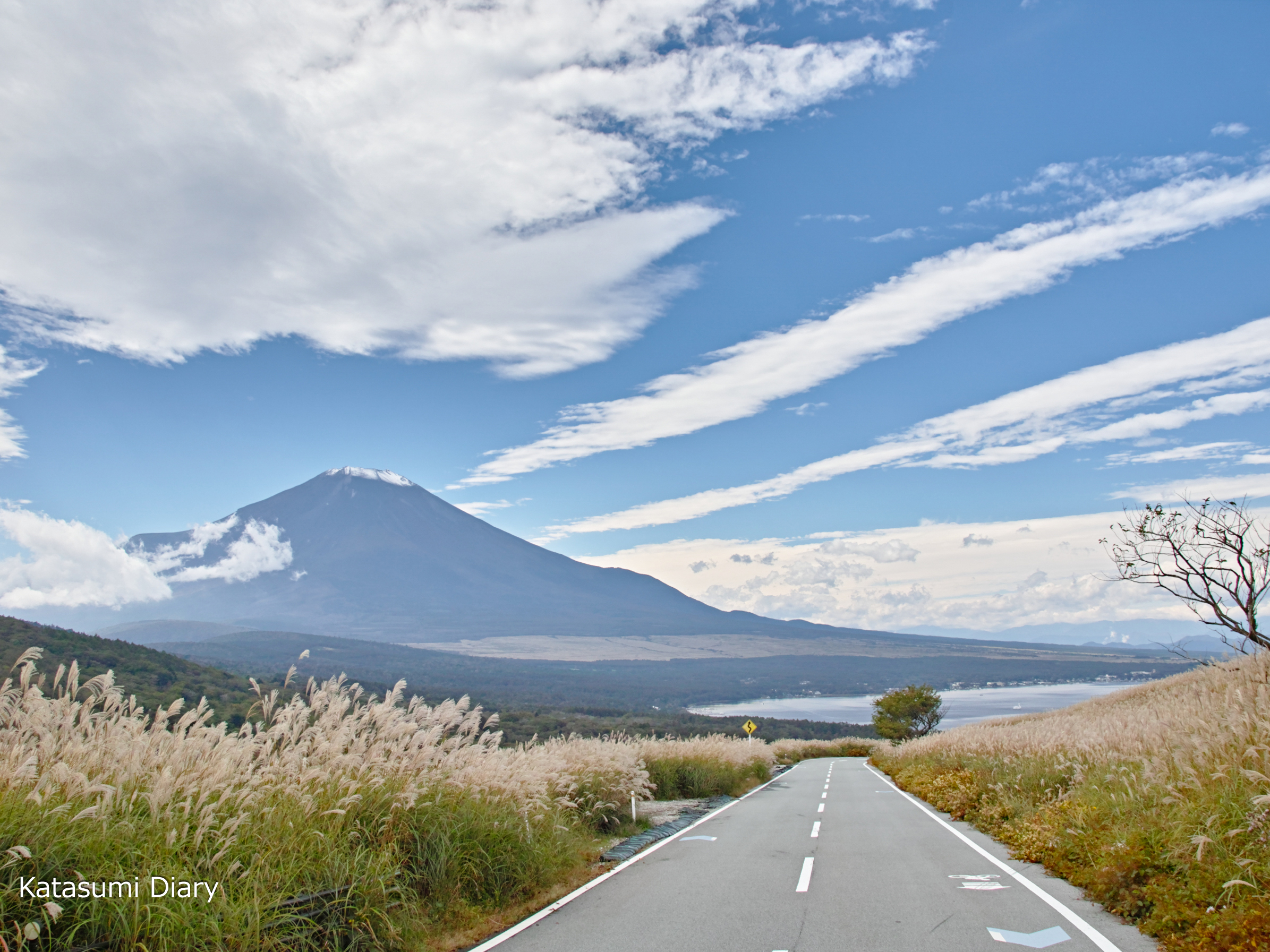 三方分山の登山口 パノラマ台下にバスでアクセスする方法登山口ねっと
