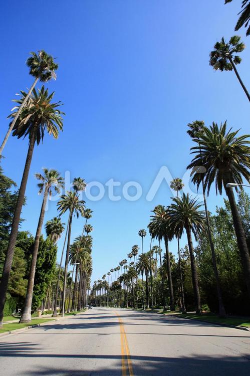 サンディエゴ＆ロサンゼルス旅⑨〜ロサンゼルス：ビバリーヒルズ〜VOYAGE Fun - 旅行記ブログ