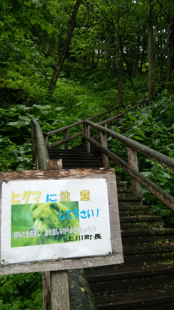 北海道 大雪山 層雲峡 双瀑台より見た 銀河の滝の写真素材107278259- PIXTA