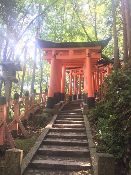 京都 伏見稲荷大社 所要時間やルートは？頂上までの道のりをただの勢いで書きました 前編- 最強のパワースポットはどこか