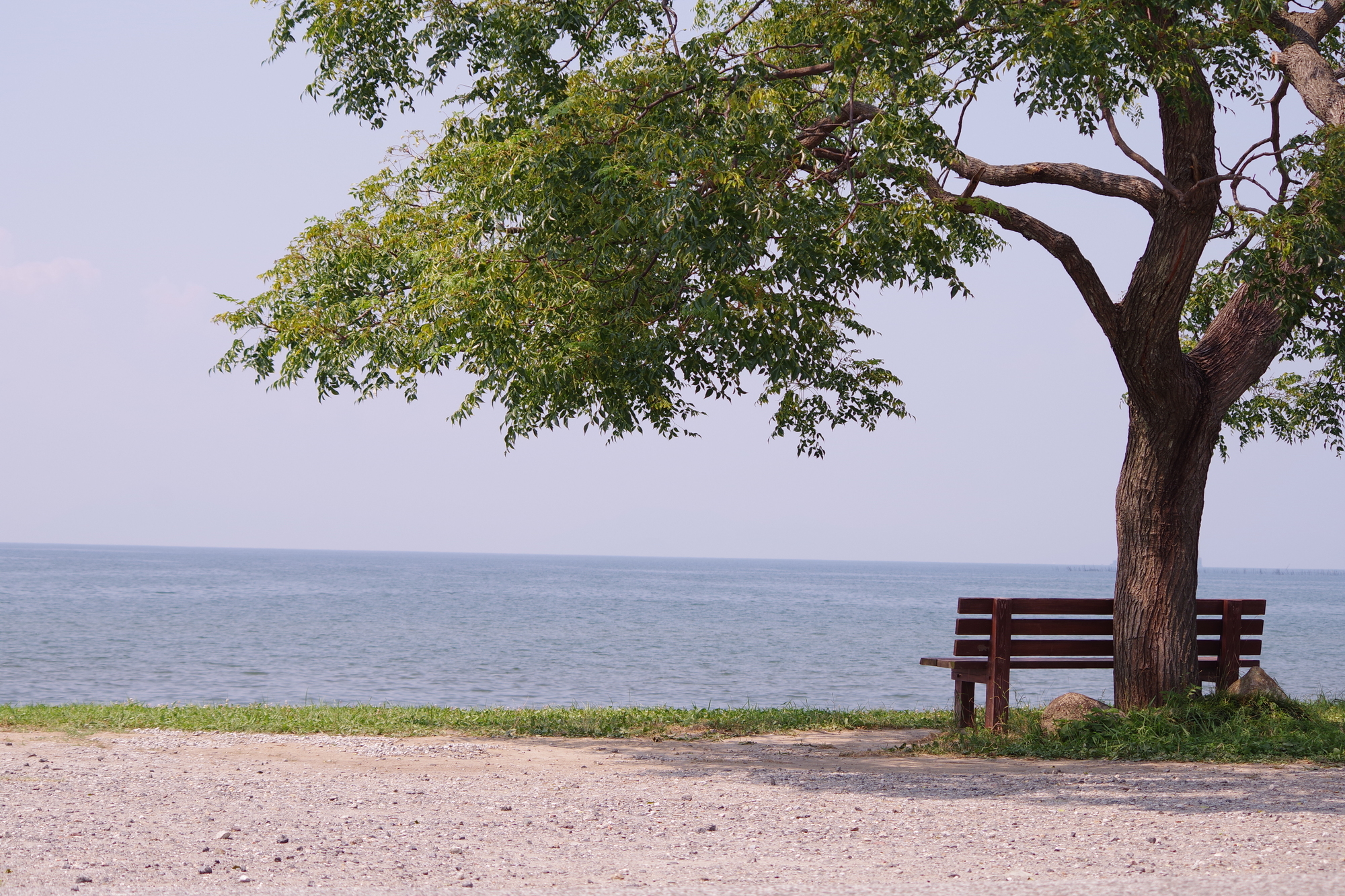 あのベンチと琵琶湖の景色が眩しくて綺麗です The view of that bench and the lake is dazzlinglybeautiful.琵琶湖あのベンチ琵琶湖あのベンチの風景滋賀100景アナタニミセタイセカイダレカニミセタイ旅ダレカニミセタイ景色photography
