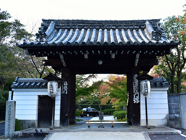 将軍塚青龍殿 ３ 青龍殿大舞台と眺めみどりの木のブログ