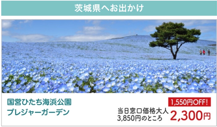 ペットも入場可能！ 国営ひたち海浜公園の遊園地 プレジャーガーデン