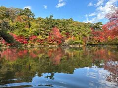 神戸の紅葉名所『再度公園』で絶景に囲まれ「コーヒー」を堪能！子連れにおすすめのスポットも神戸ジャーナル