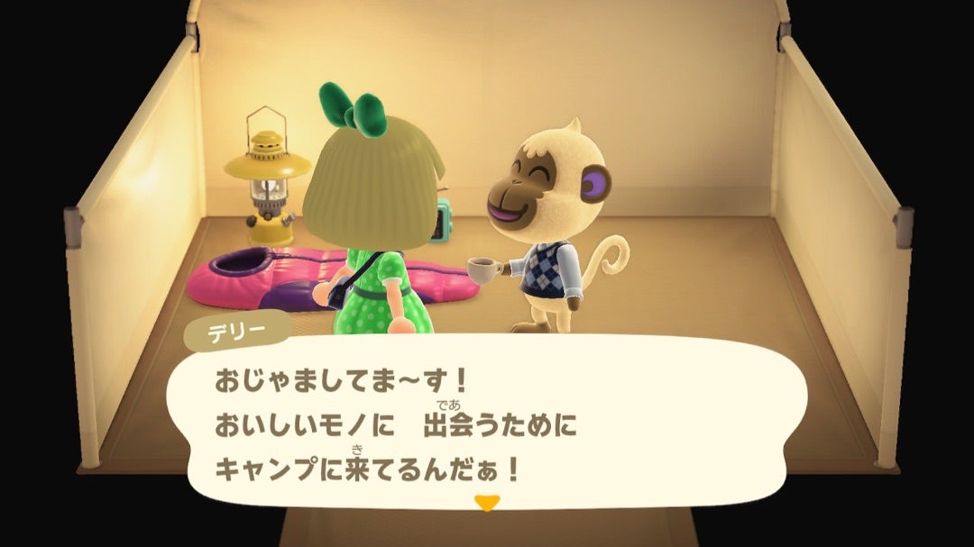 売土地の確認とデリーさんの謎TikTok