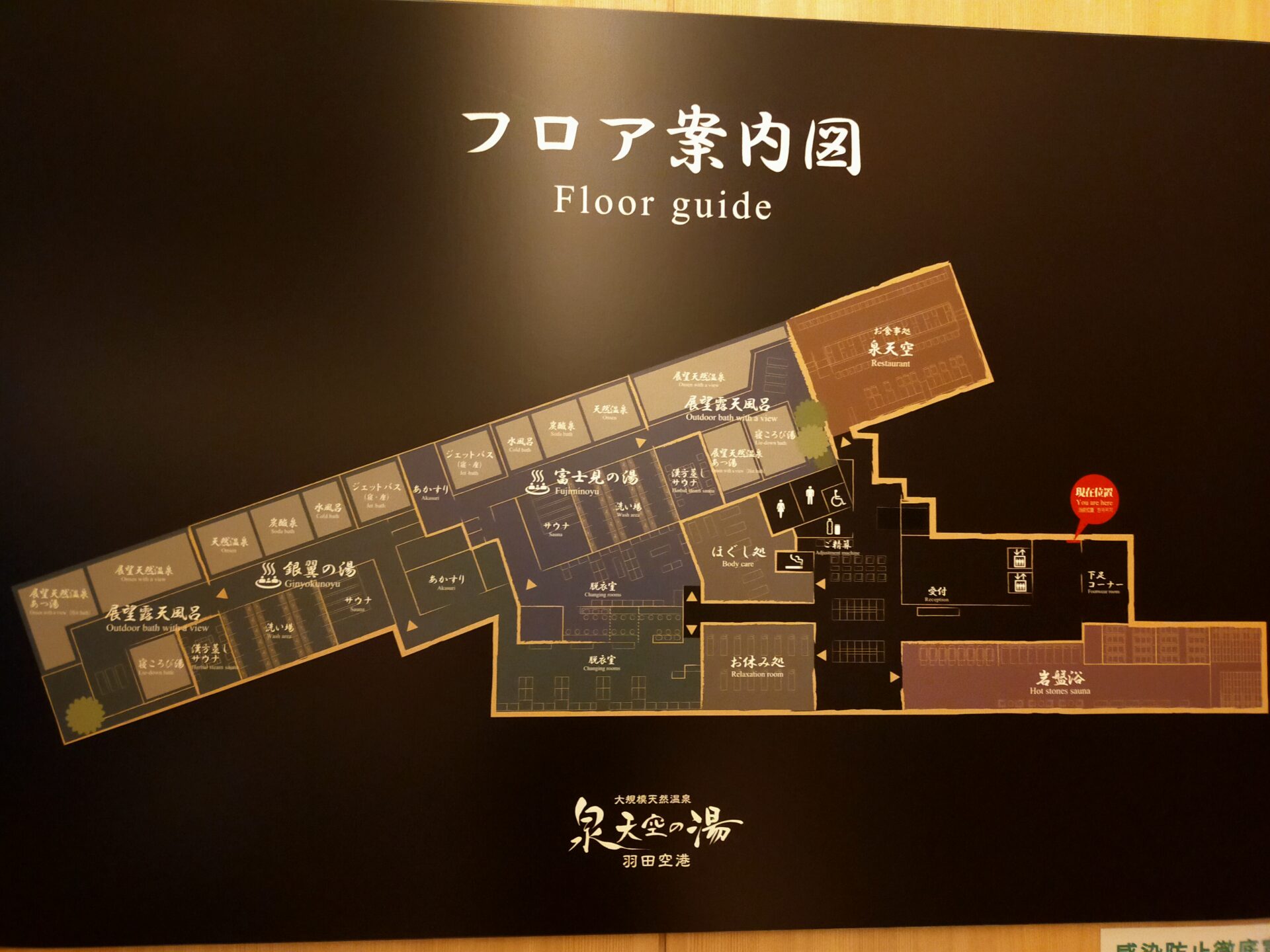 セサミストリートのコラボルームをレポ！ファミリーでも女子グループでも楽しめる「ヴィラフォンテーヌ グランド 羽田空港」キャラWalker -ウォーカープラス