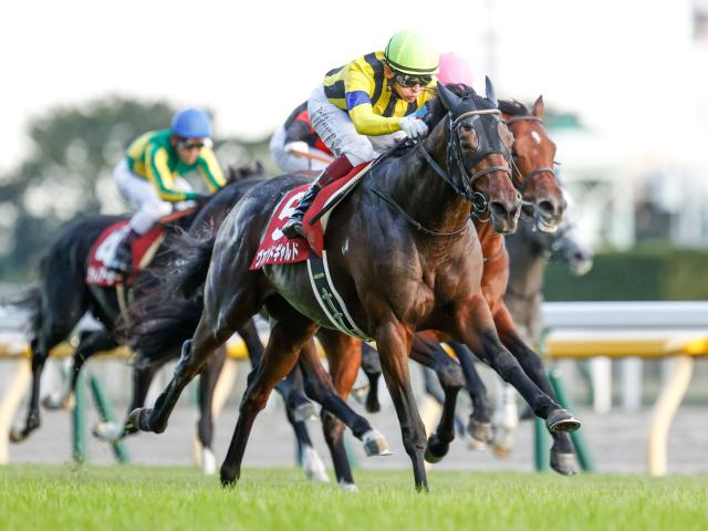 Ｍ・バルザローナは今秋来日せず 希望日程が合わず競馬ニュース - netkeiba