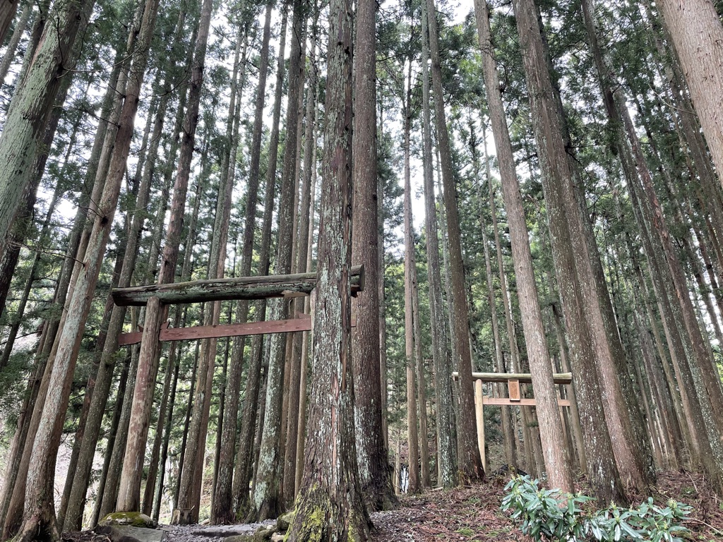 胴腹滝観光スポット 遊佐町・庄内地方 やまがたへの旅 - 山形県の公式観光・旅行情報サイト