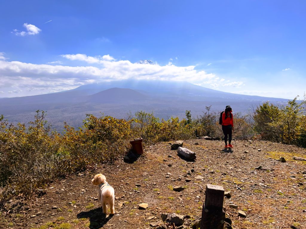 富士山 山頂の石碑日本最高地点の証 「ついに登りきった。ここが3,776m」Trip.com 富士宮