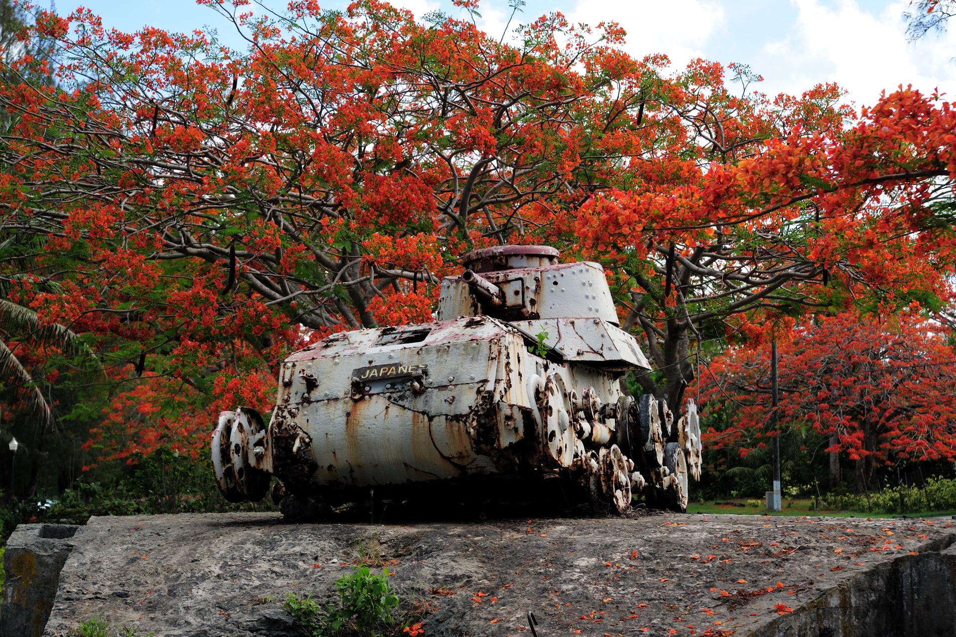 サイパン島キリリビーチに沈む戦車７の写真素材40666790- PIXTA