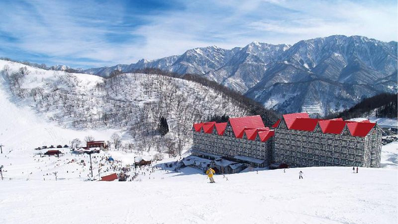 長野県 初心者も極上のパウダースノーを味える！おすすめスキー場8選WAmazing Snow ワメイジングスノー