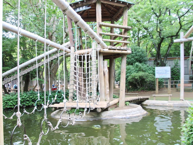 千葉の清水公園で水上アスレチック体験