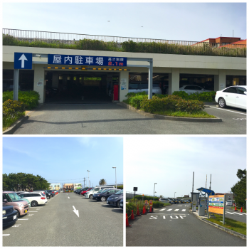 江の島の穴場カフェ死神と呼ばれた男・AI X 葬送ビジネスのYEY 和田