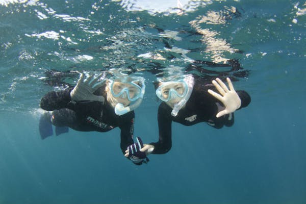 大瀬崎伊豆半島静岡 シュノーケリングのスポット 海情報シュノーケリングを楽しむための総合情報サイト Snorkeling JAPAN