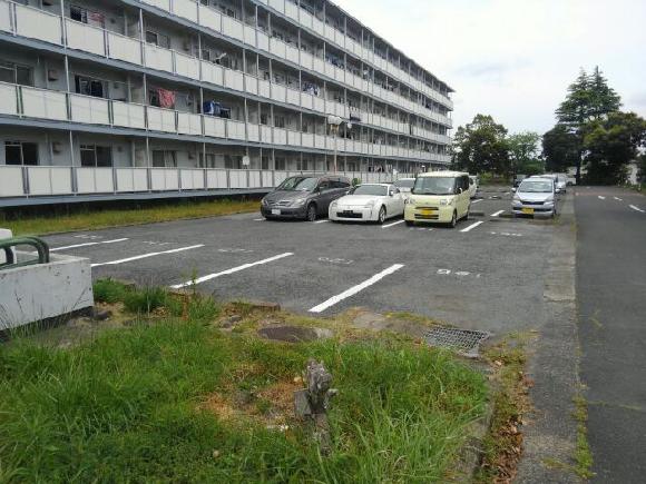 成田山新勝寺ってどんなところ？成田山公園や表参道のグルメ情報も満載！特集千葉県公式観光サイト ちば観光ナビ